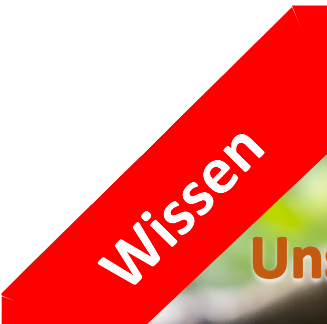 Wissen