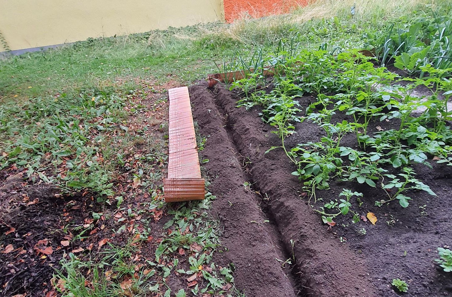 Die Schneckensperre wird nur 1-3 cm in die Erde eingelassen