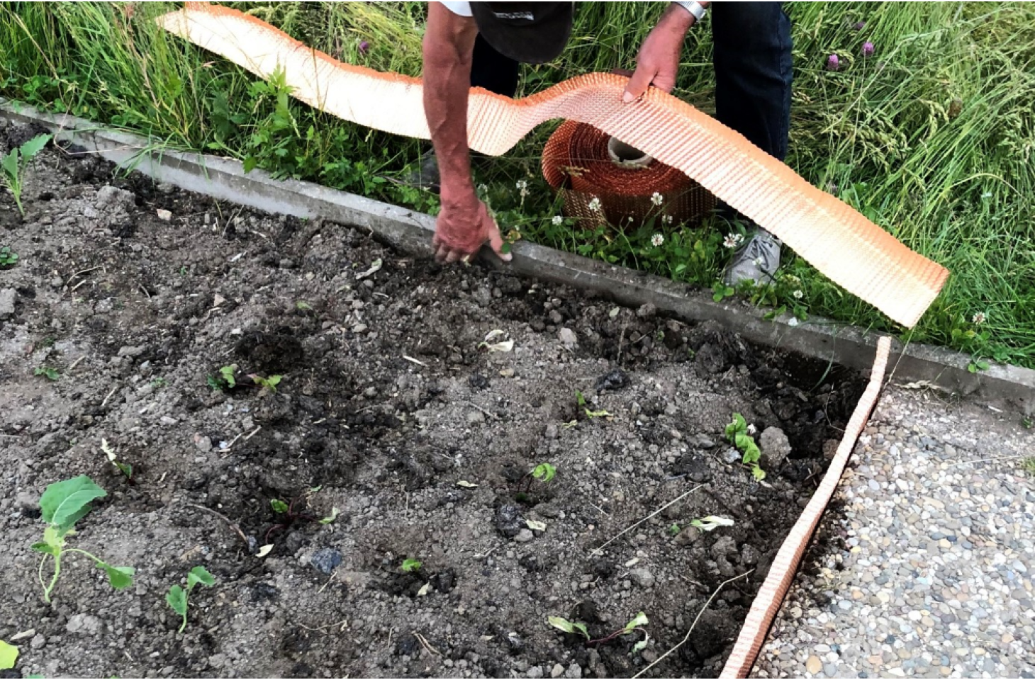 Kupfer als Schnecken Schutz Barrieren Bremsen sind sehr wirksam